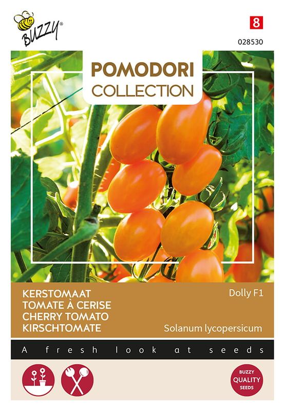 Buzzy® Pomodori Dolly F1