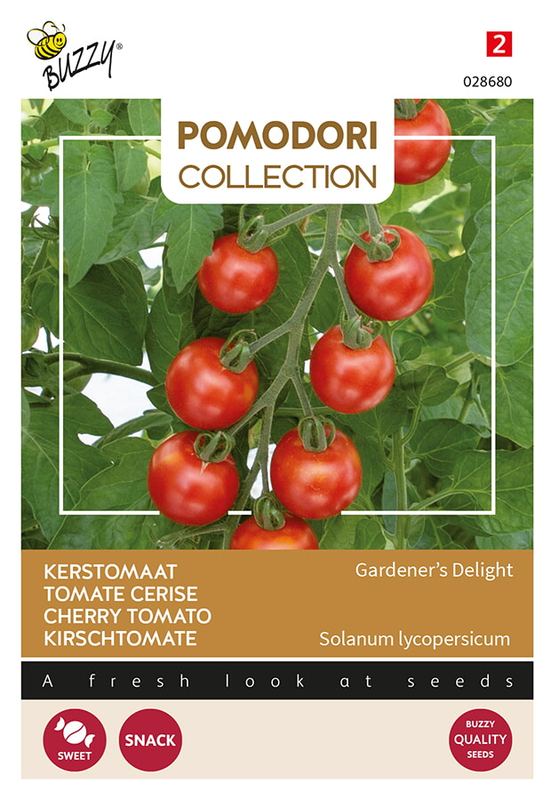 Buzzy® Pomodori Gardeners Delight (Cherry)