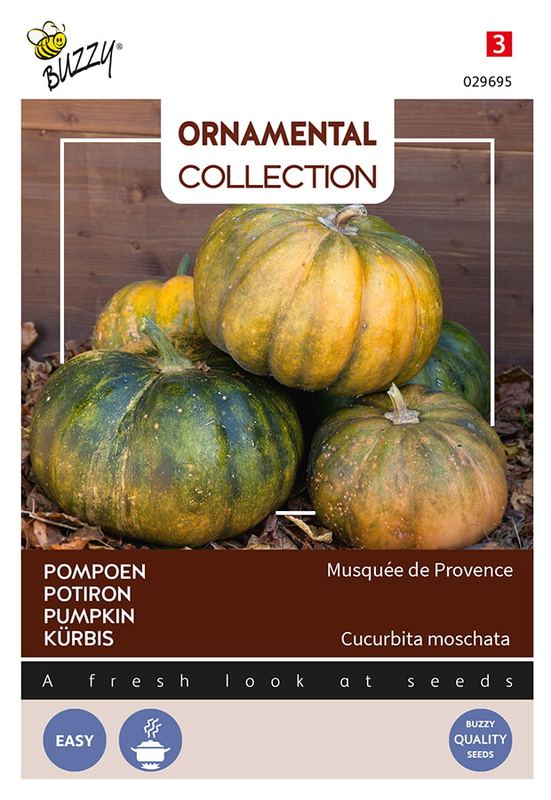 Buzzy® Ornamental Courgette Musque De Provence