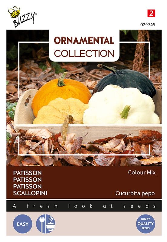 Buzzy® Ornamental Patisson Colour Mix