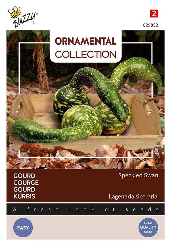 Buzzy® Ornamental Gourd Speckled Swan (Lagenaria siceraria)