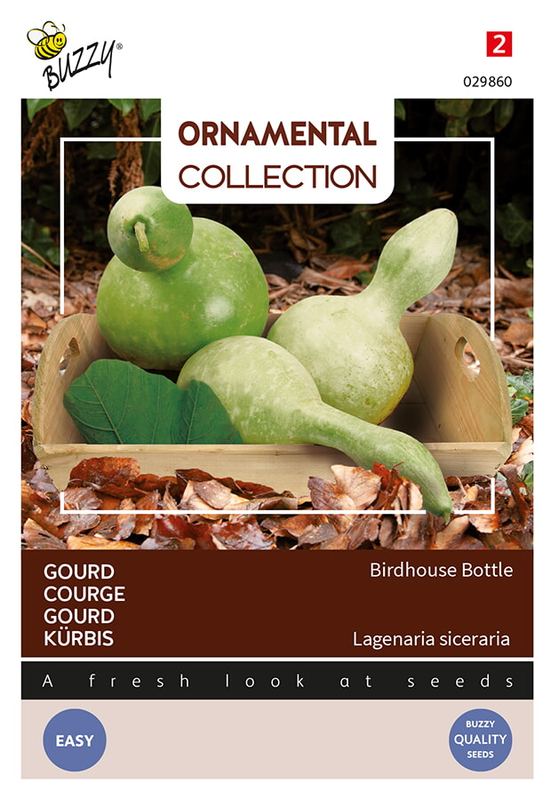 Buzzy® Ornamental Gourd Birdhouse/Bottle (Lagenaria leuc.)
