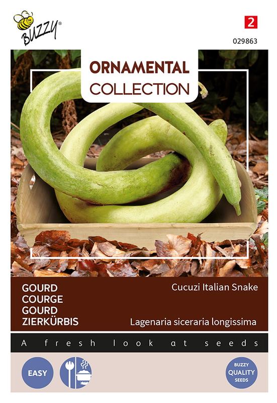 Buzzy® Ornamental Gourd Italian Edible/Cucuzi