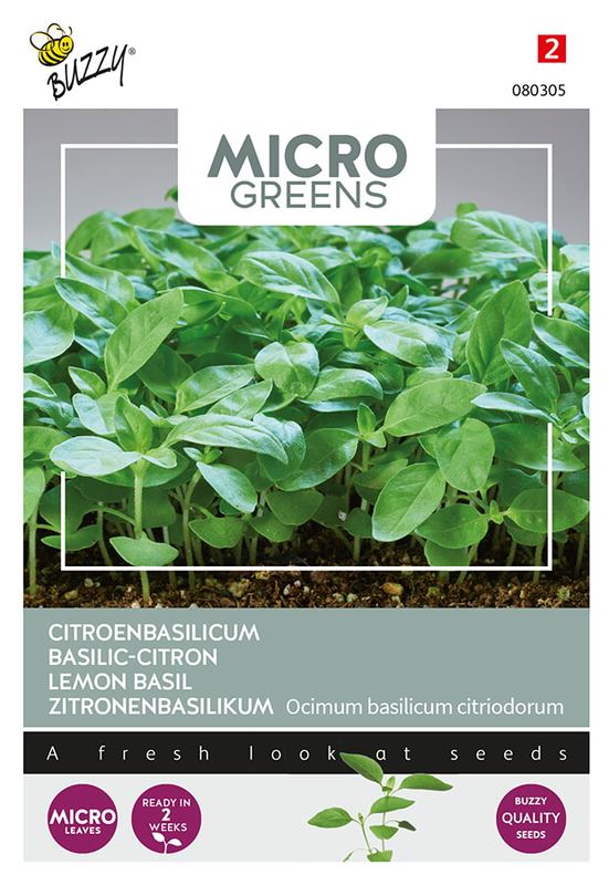 Buzzy® Microgreens Citroenbasilicum