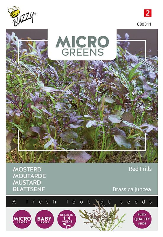 Buzzy® Microgreens Mosterd Red Frills