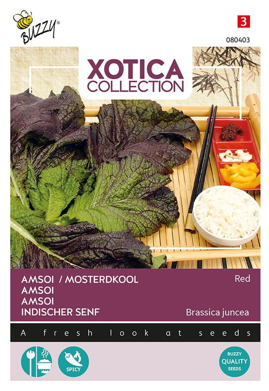Xotica Amsoi Rood