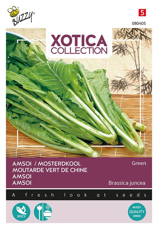 Xotica Amsoi Mung Choi
