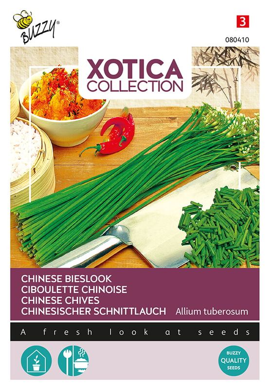 Xotica Chinese Bieslook