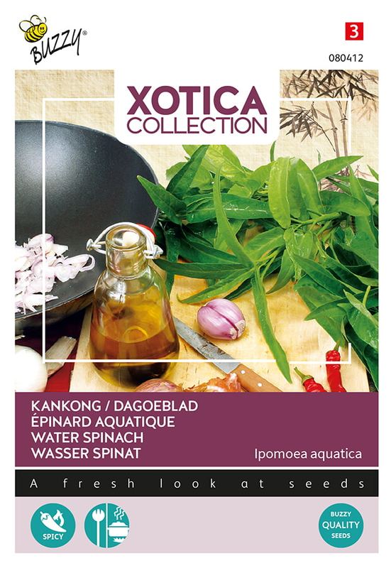 Xotica Kankong