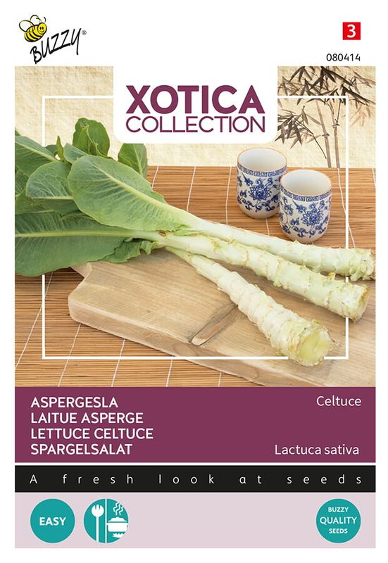 Xotica Palmboom sla - Aspergesla
