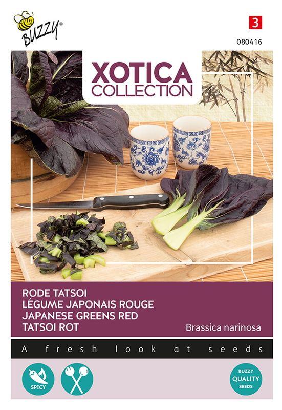 Xotica Rode Tatsoi