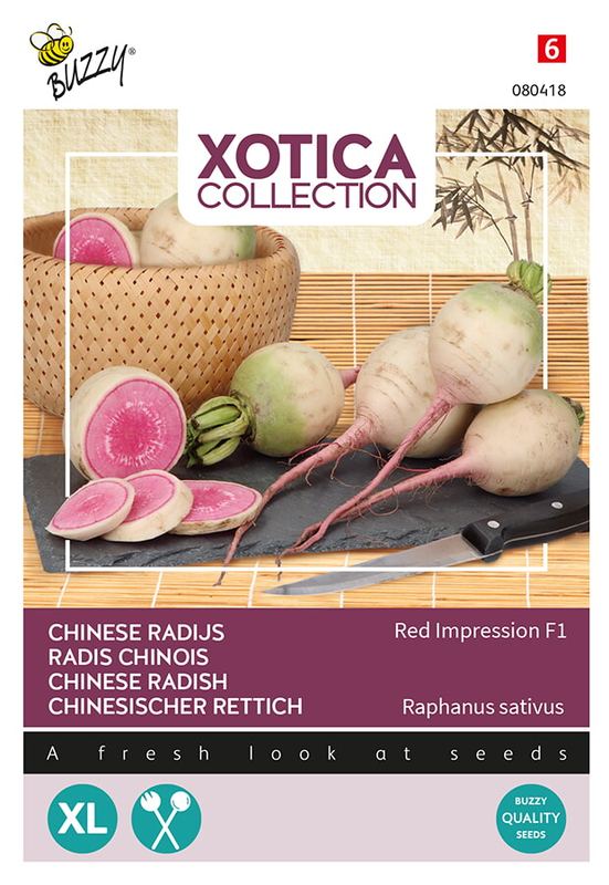 Xotica Japanse Radijs Red Impression F1
