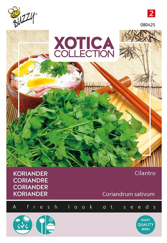 Xotica Koriander