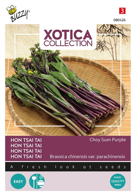 Xotica Purple Choy Sum Hon Tsai Tai