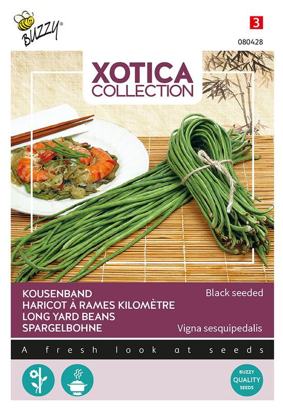 Xotica Kousenband