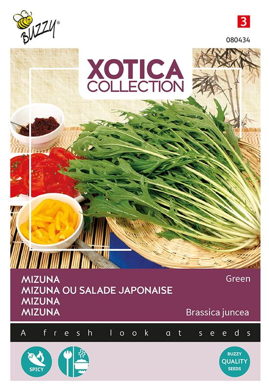 Xotica Mizuna