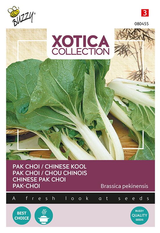 Xotica Paksoi Kanton