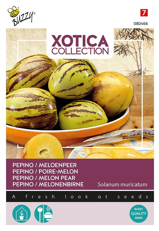 Xotica Pepino, Meloenpeer
