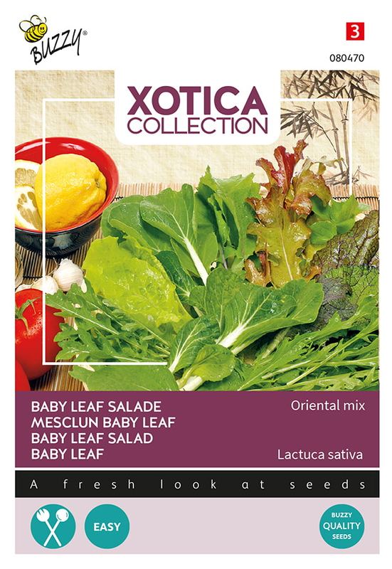 Xotica Salade Mix Exotisch Baby Leaf