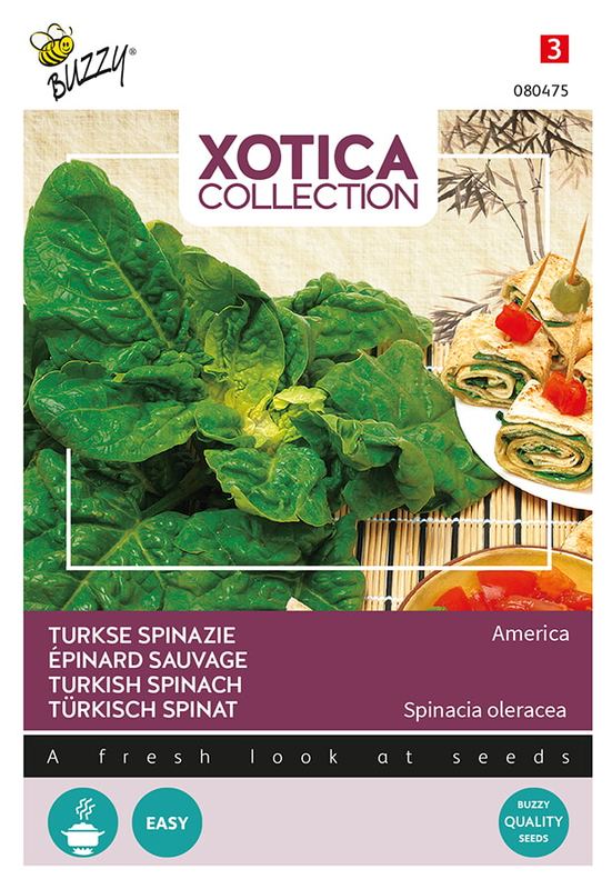Xotica Spinazie