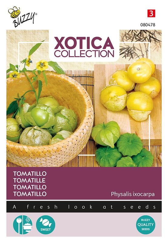 Xotica Tomatillo