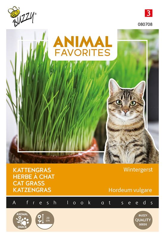 Buzzy® Animal Favorites, Herbe à chat