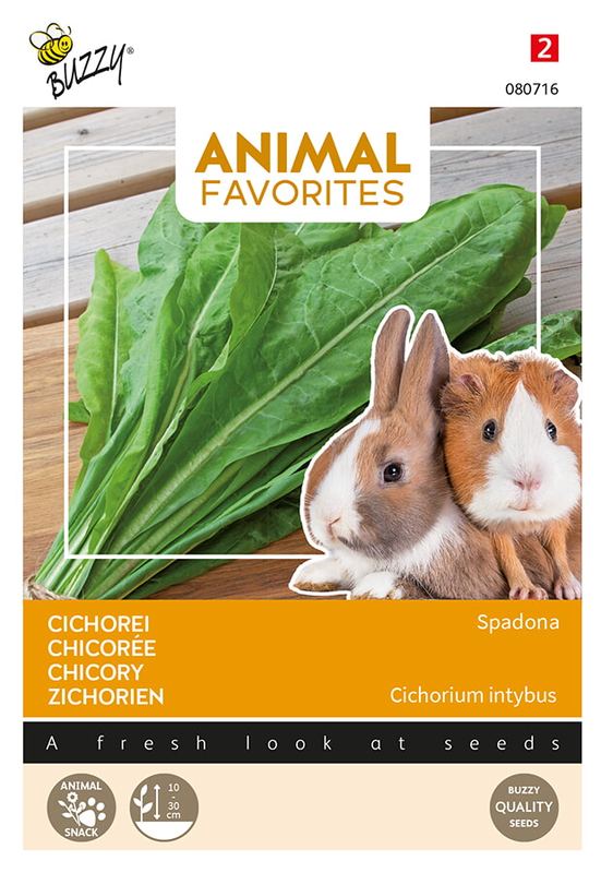 Buzzy® Animal Favorites, Cichorei Spadona - Konijn - Cavia