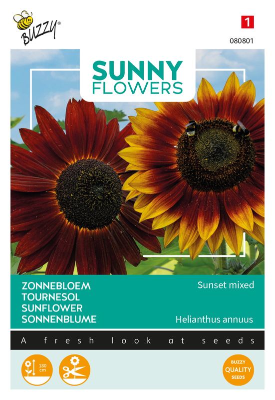 Buzzy® Sunny Flowers, Zonnebloem Avondzon