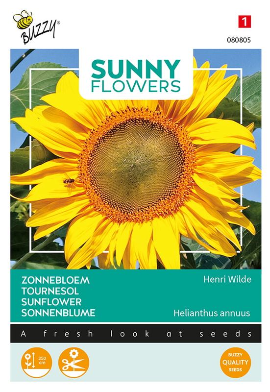 Buzzy® Sunny Flowers, Tournesol King Kong