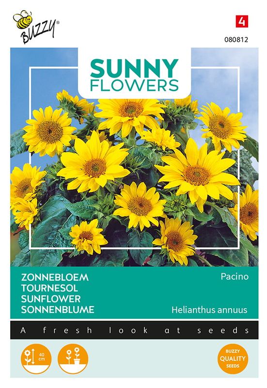 Buzzy® Sunny Flowers, Zonnebloem Pacino Gold