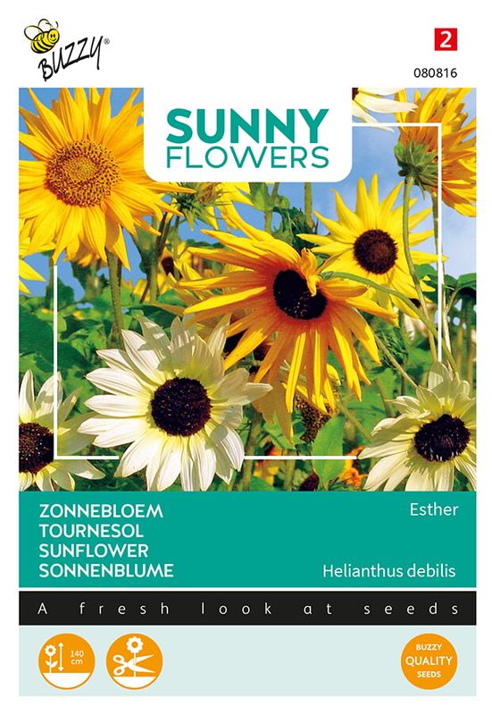 Buzzy® Sunny Flowers, Zonnebloem Esther