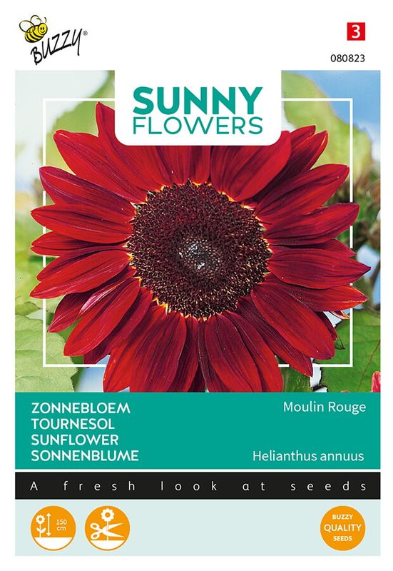 Buzzy® Sunny Flowers, Tournesol Moulin Rouge