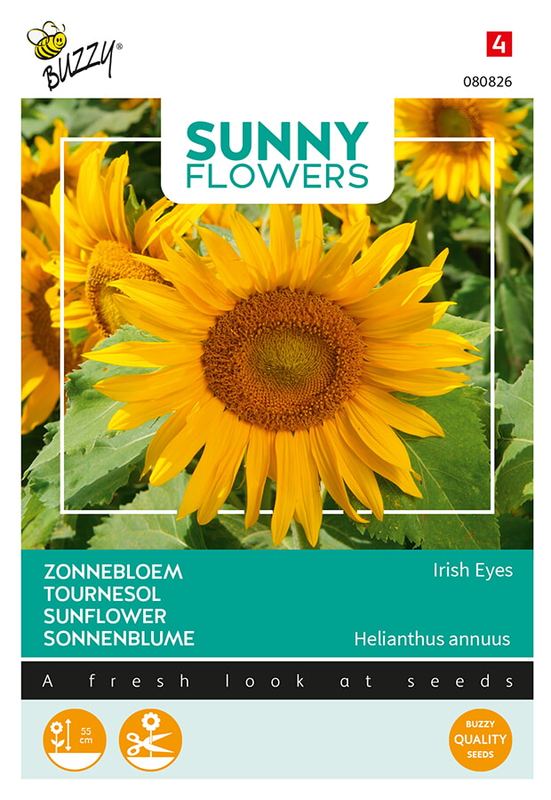 Buzzy® Sunny Flowers, Zonnebloem Irish Eyes