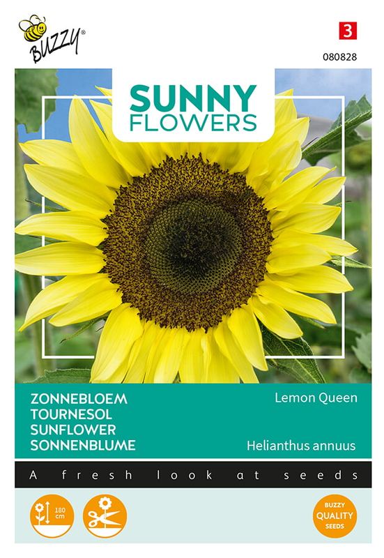Buzzy® Sunny Flowers, Tournesol Lemon Queen