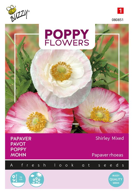 Buzzy® Poppies of the world, Klaproos Gemengd