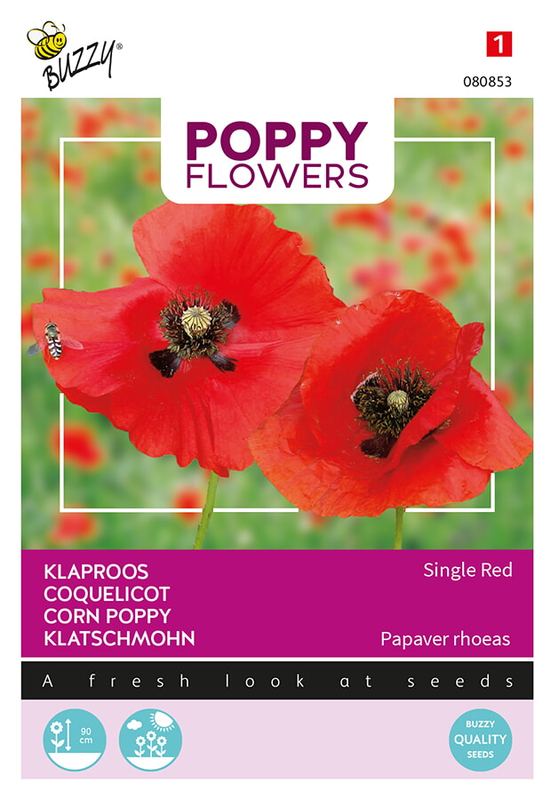 Buzzy® Poppies of the world, Klaproos Rhoeas Rood