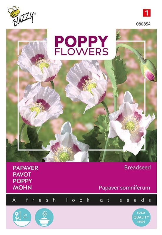 Buzzy® Poppies of the world, Papaver Blauwmaanzaad