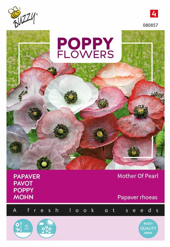 Buzzy® Poppies of the world, Papaver 'Mother of Pearl'