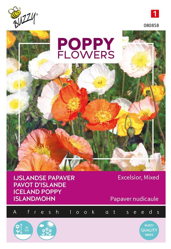Buzzy® Poppies of the world, IJslandse papaver