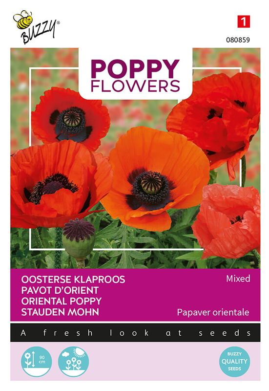 Buzzy® Poppies of the world, Orientaalse papaver