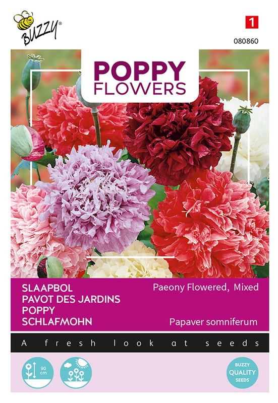Buzzy® Poppies of the world, Pioenbloemige papaver