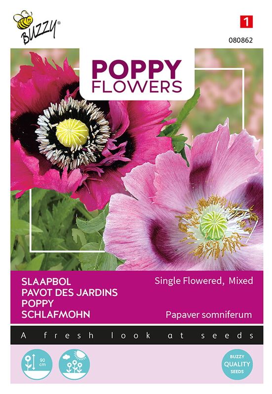 Buzzy® Poppies of the world, Papaver slaapbol