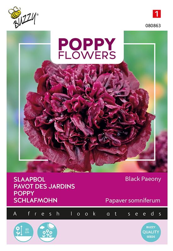 Buzzy® Poppies of the world - Papaver Black Paeony