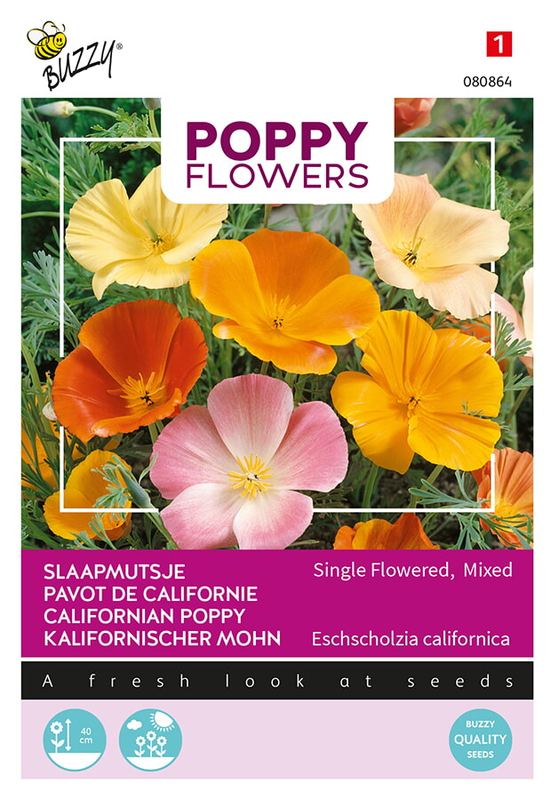 Buzzy® Poppies of the world, Californische Slaapmutsjes