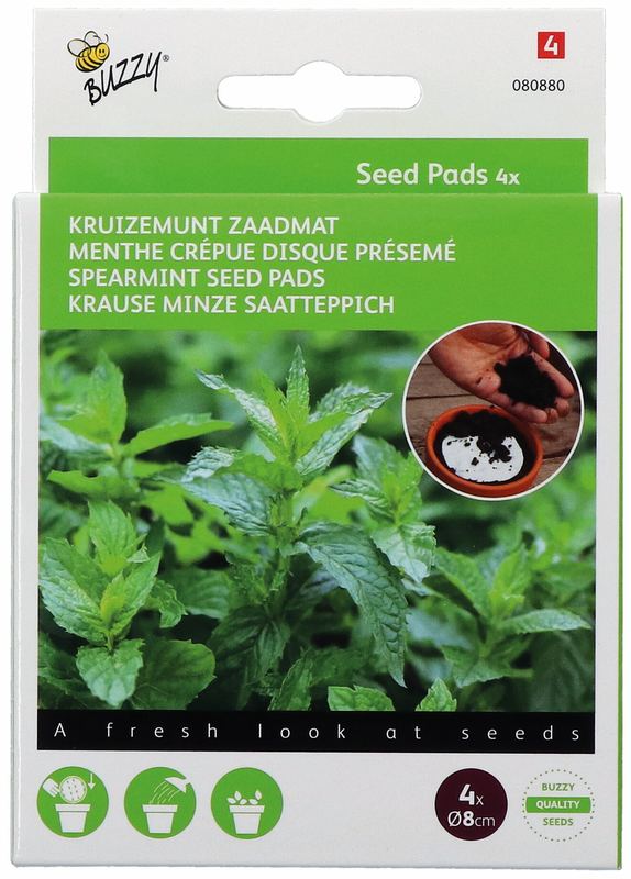 Buzzy® Seedpads Kruizemunt 4xØ8cm