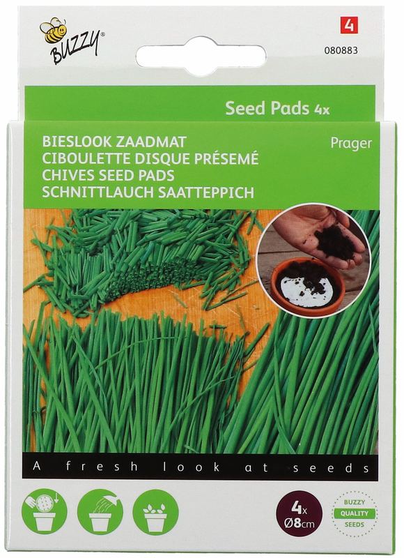 Buzzy® Seedpads Bieslook Prager 4xØ8cm