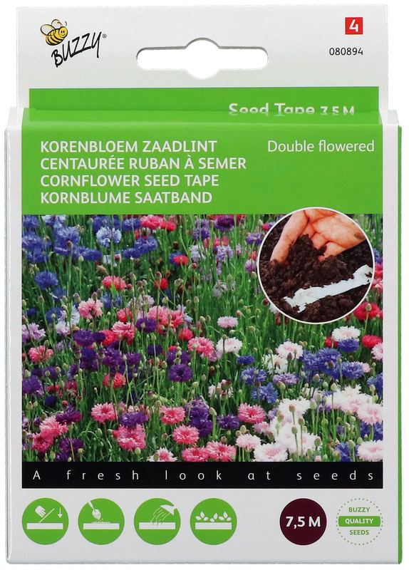 Buzzy® Zaadband Korenbloem mélangé 7,5 m