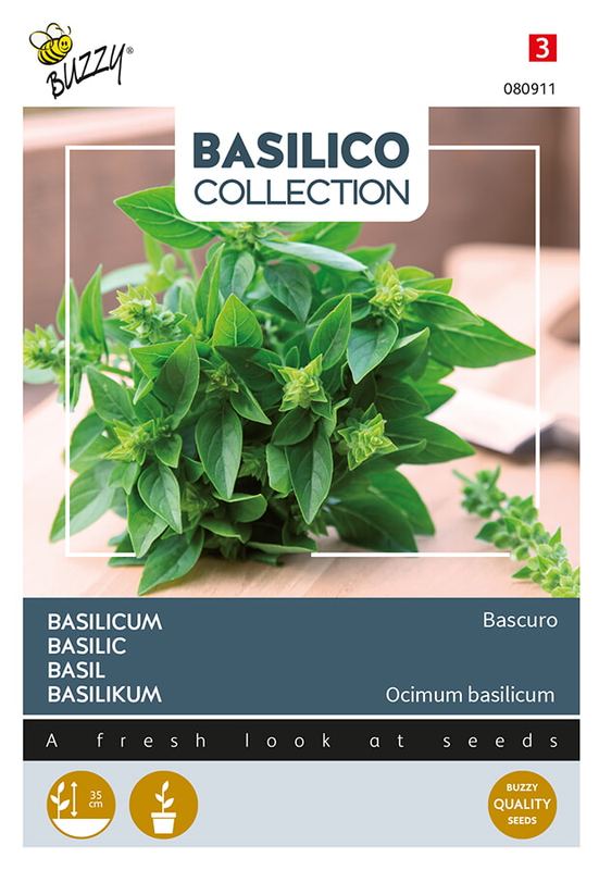 Buzzy® Basilic Bascuro