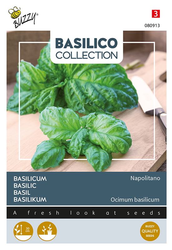 Buzzy® Basilicum a foglia di lattuga