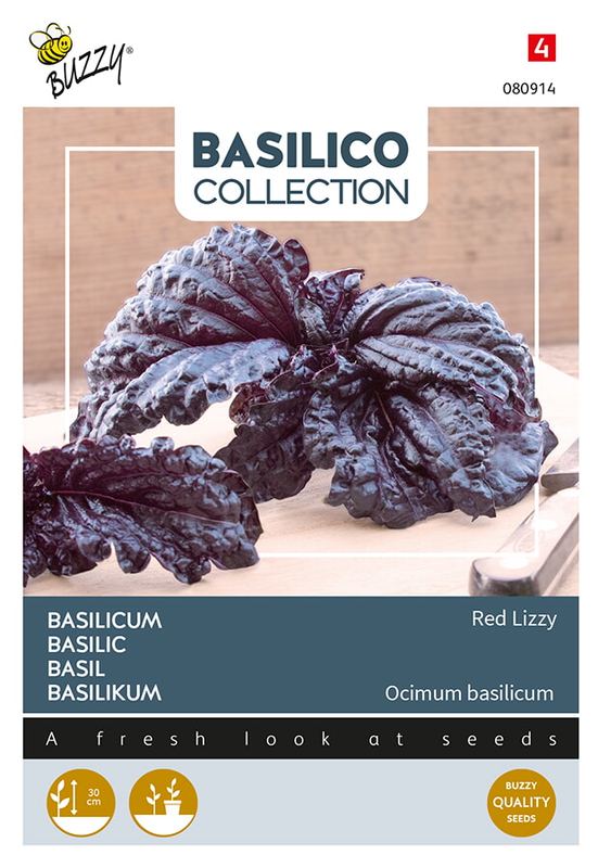 Buzzy® Basilic a foglia violetta di lattuga